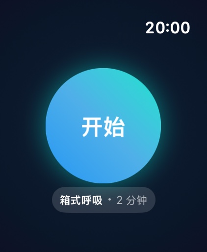Apple Watch 上的 Soluklan:开始圆圈