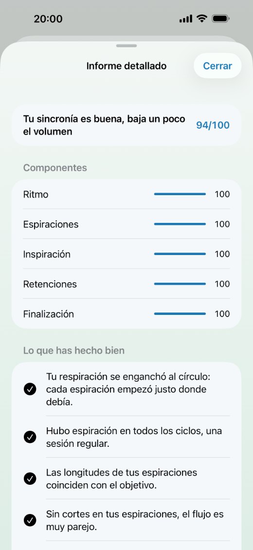 Informe detallado: puntuación, componentes y lo que hiciste bien