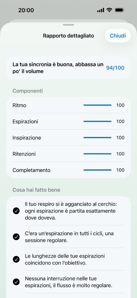 Resoconto dettagliato: punteggio, componenti e cosa hai fatto bene