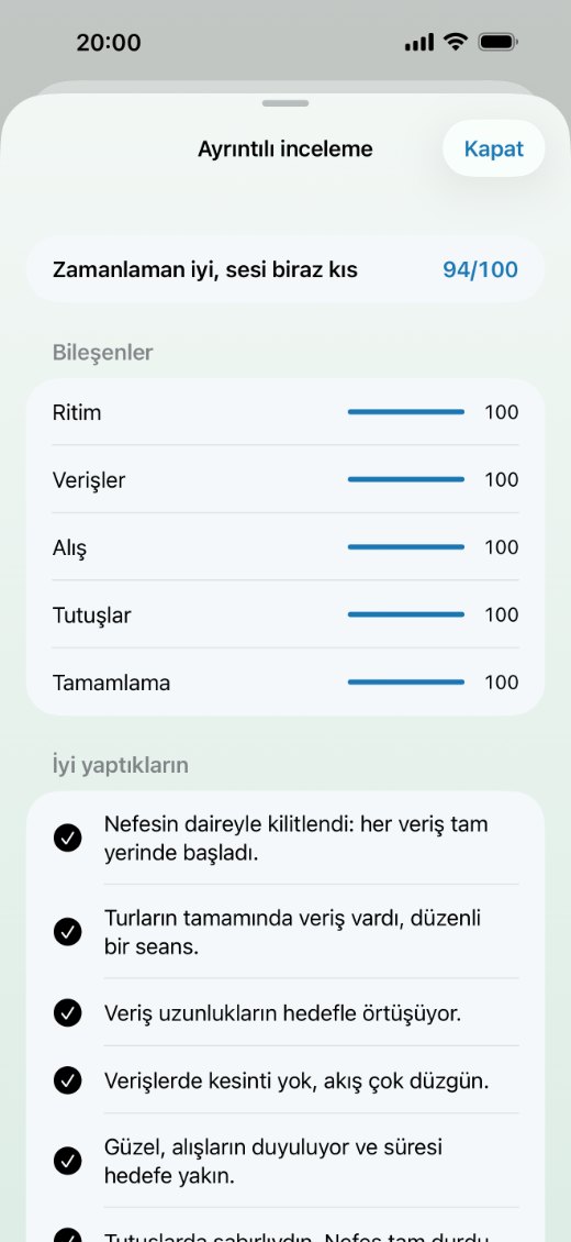 Ayrıntılı rapor: puan, bileşenler ve iyi yaptıkların