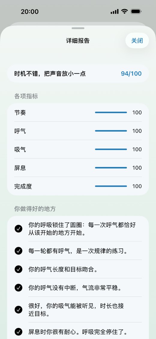 详细报告：分数、各项指标和你做得好的地方